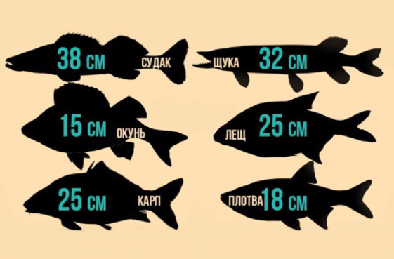 ������� ��� ��������