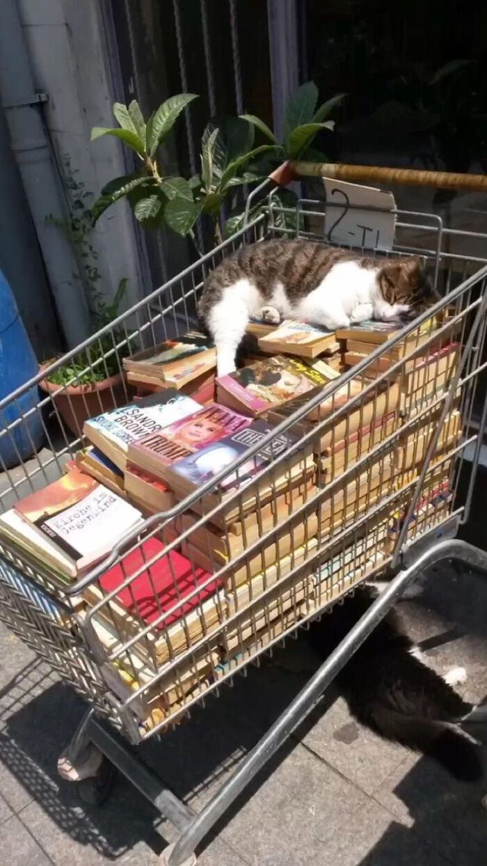 ������������