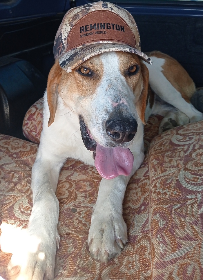 � ������. ���� 8