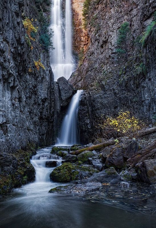 ����, ��������, ���