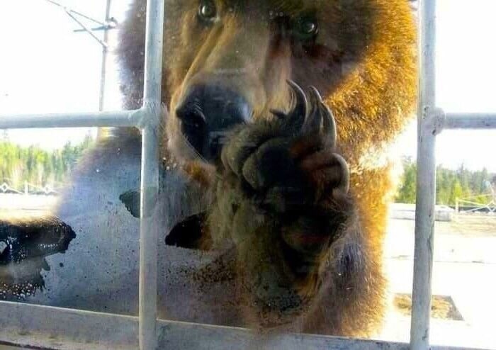 Тук-тук. Есть кто дома?