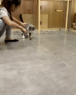      , , , 