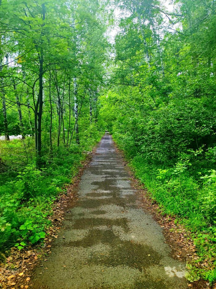 �������� � ��������� ���