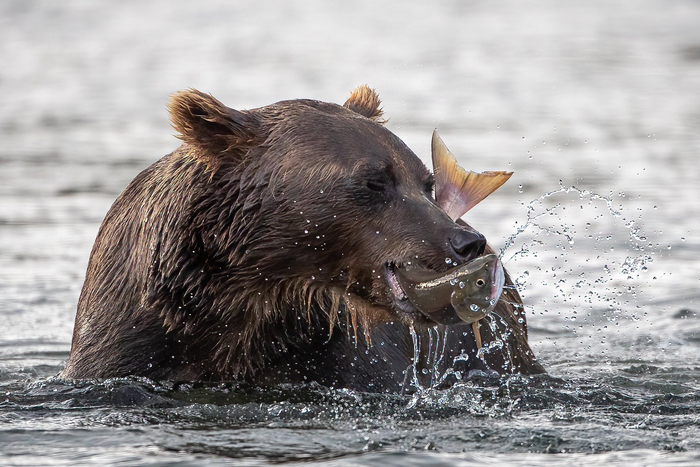 Блаженство