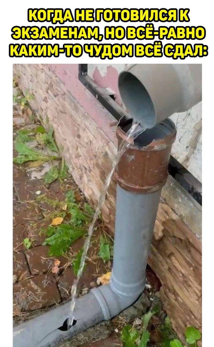 Так и было задумано