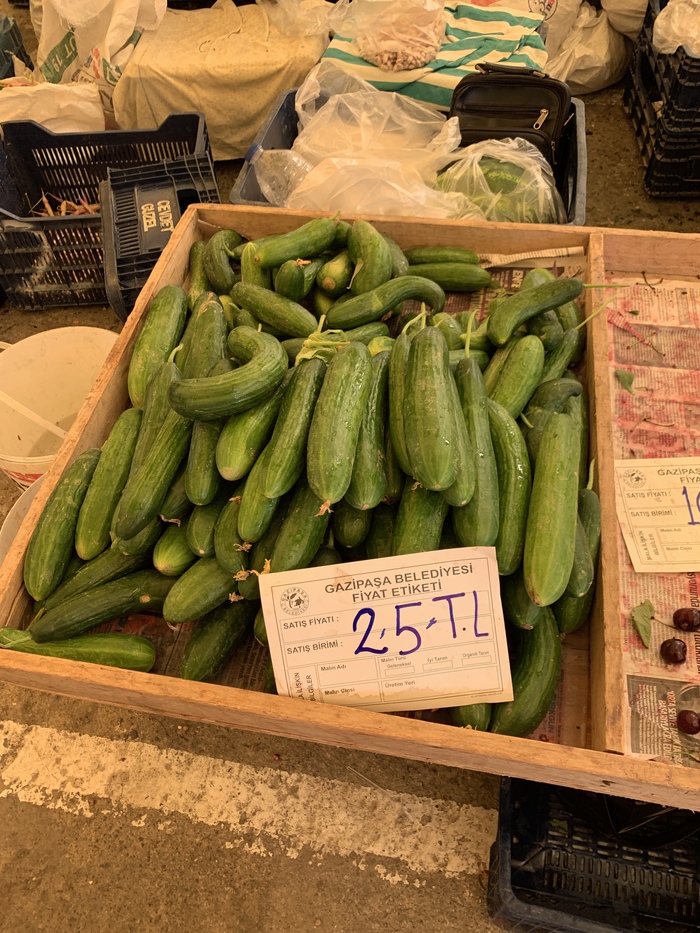 Цены на фрукты-овощи в Турции сейчас- июнь 2022. В городе Газипаша Турция, Цены, Длиннопост, Овощи, Фрукты, Газипаша Цены на фрукты-овощи в Турции сейчас- июнь 2022. В городе Газипаша Турция, Цены, Длиннопост, Овощи, Фрукты, Газипаша