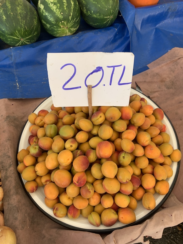 Цены на фрукты-овощи в Турции сейчас- июнь 2022. В городе Газипаша Турция, Цены, Длиннопост, Овощи, Фрукты, Газипаша Цены на фрукты-овощи в Турции сейчас- июнь 2022. В городе Газипаша Турция, Цены, Длиннопост, Овощи, Фрукты, Газипаша