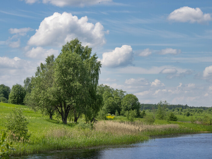 На берегу реки