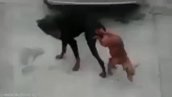 , 