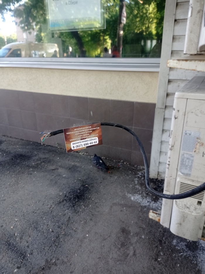 ����������� �������