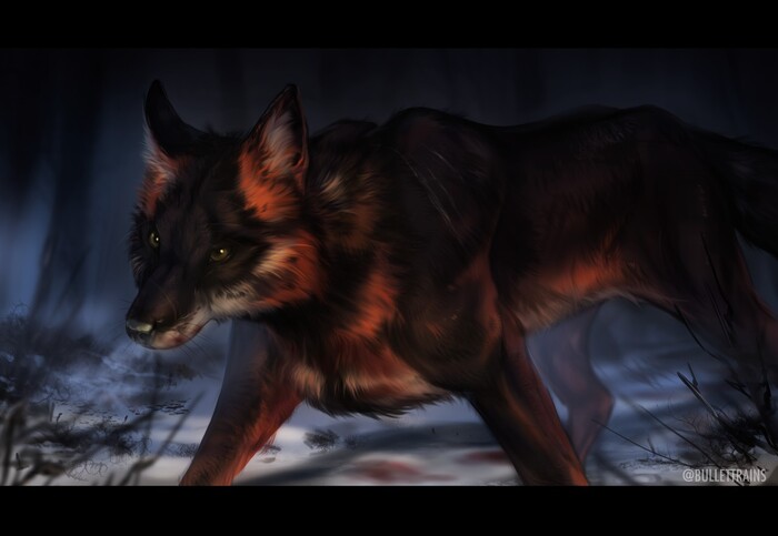 Dark Fox