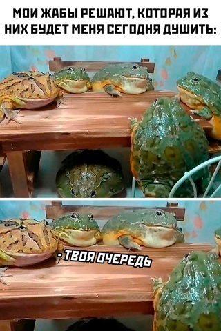 На чём сэкономим сегодня?