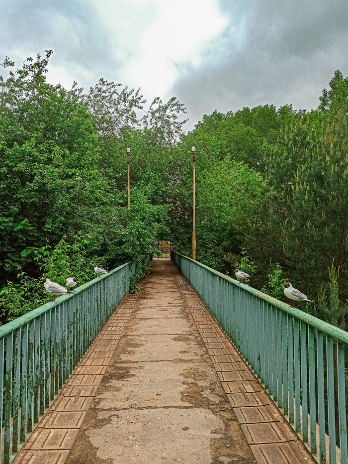 ������� ����� ����? � ���� ������?