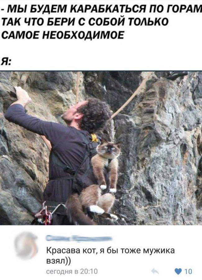  .    ,  ,   , , , , , 
