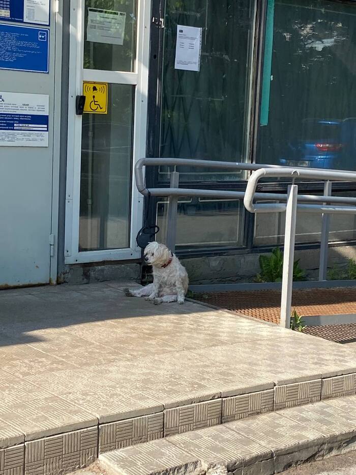 ���� ������������ ��� ���� ������