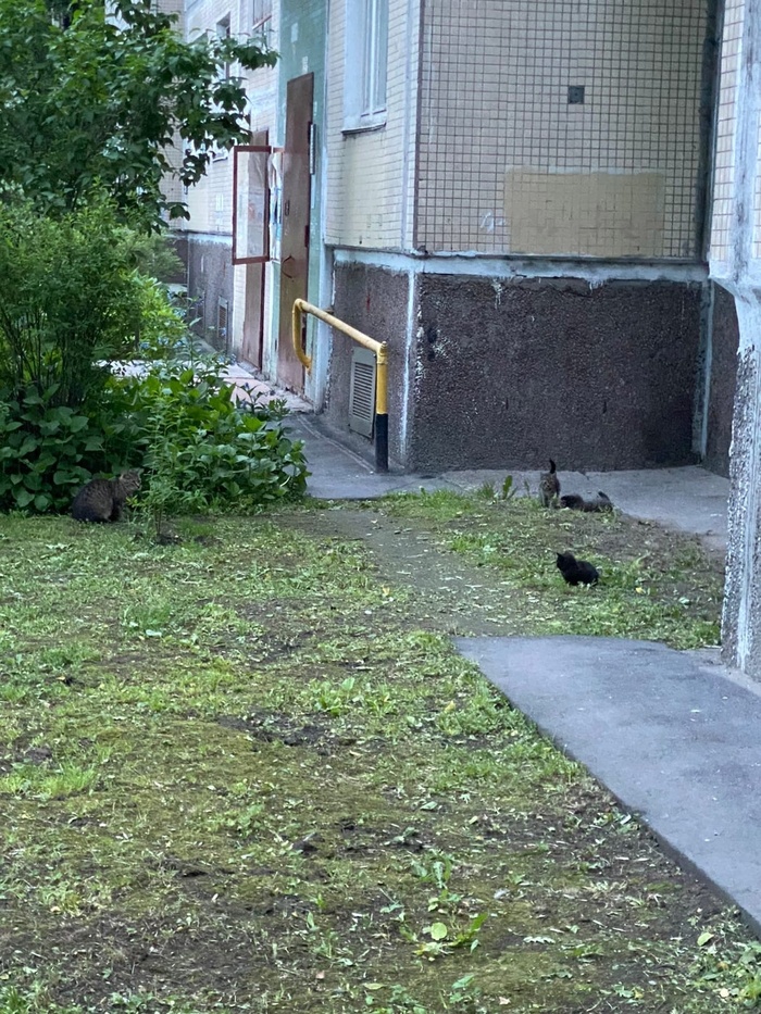 ������, ������ � ������ ����� � �����-����������!