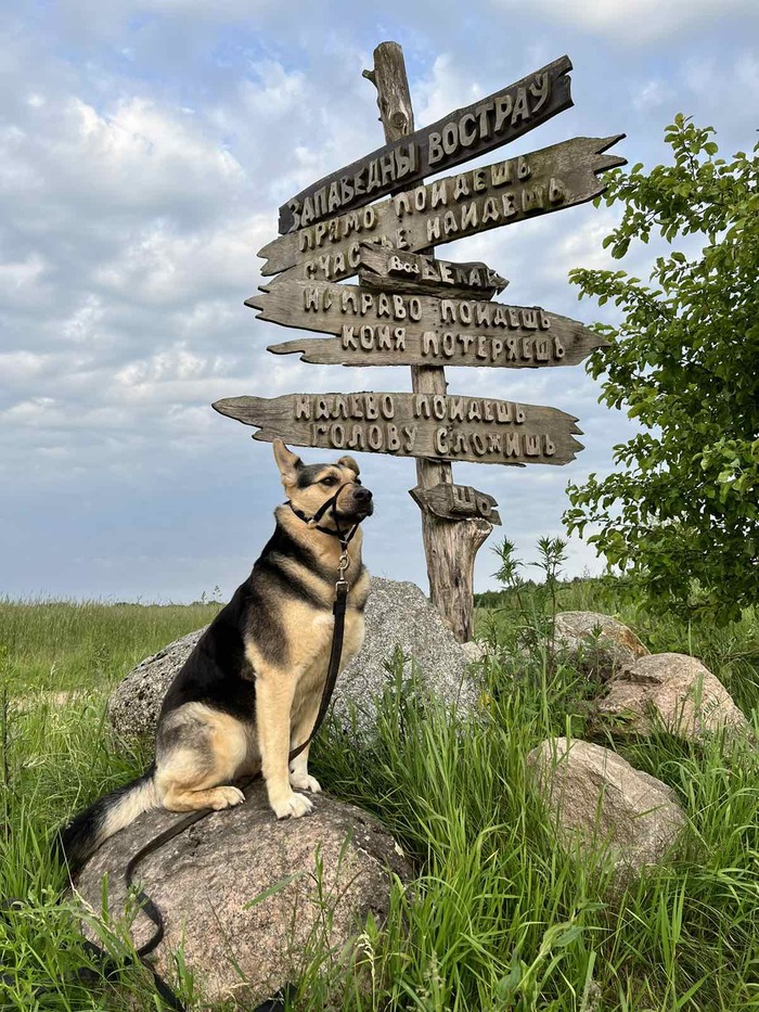 ������� �����