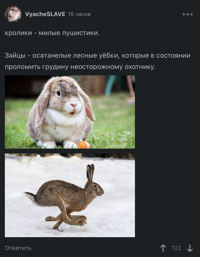 & , ,   , , 