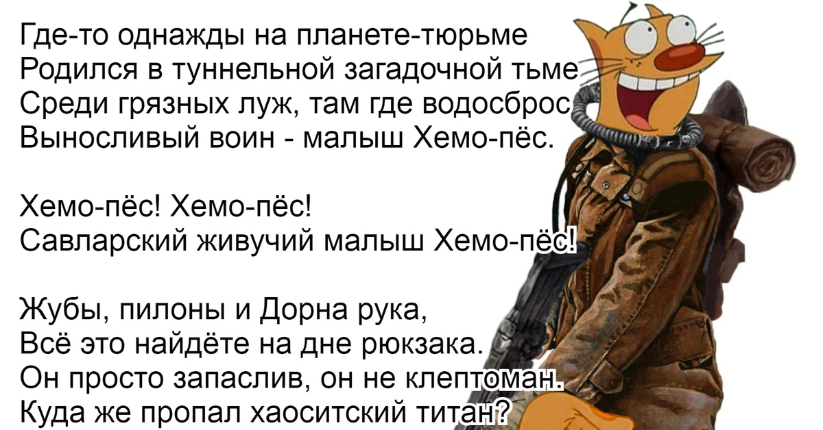 Единственный в мире малыш котопес