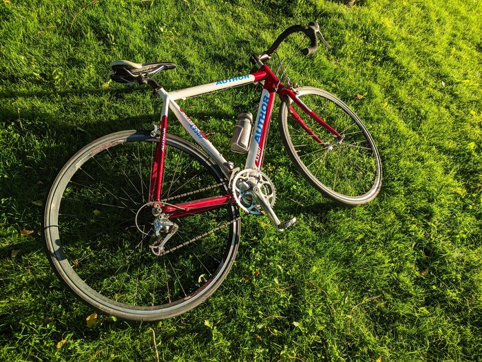 ������ ������