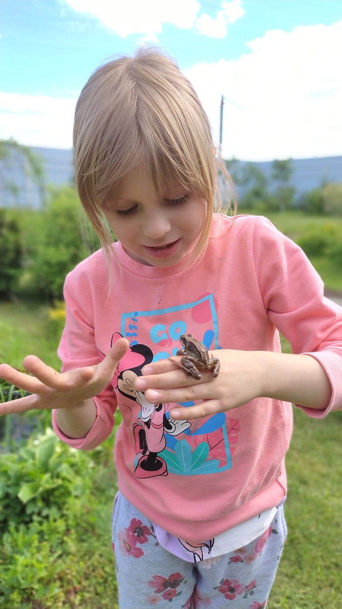 Две лягушки