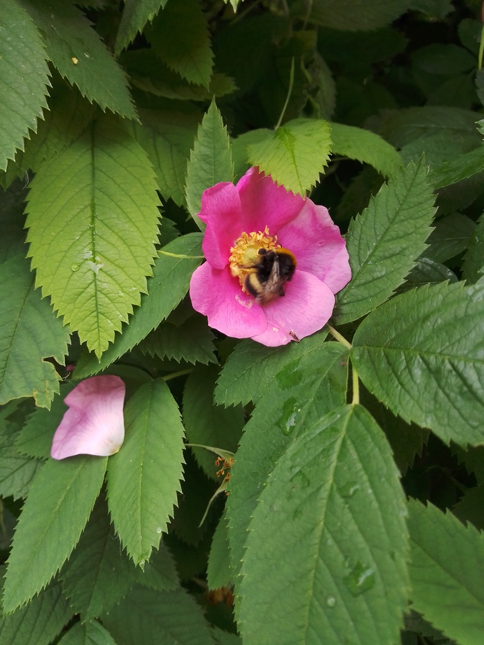 ��������� ����� ��� � �����