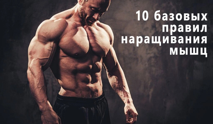 ������� ������ �����