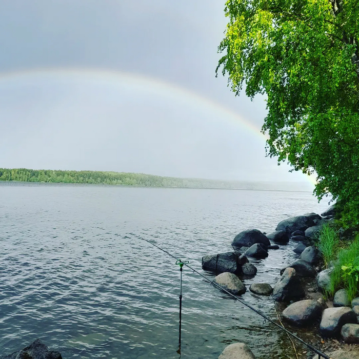 Rainbow , , , , ,   , 