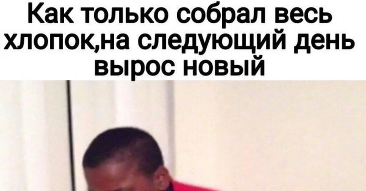 Хлопок | Пикабу