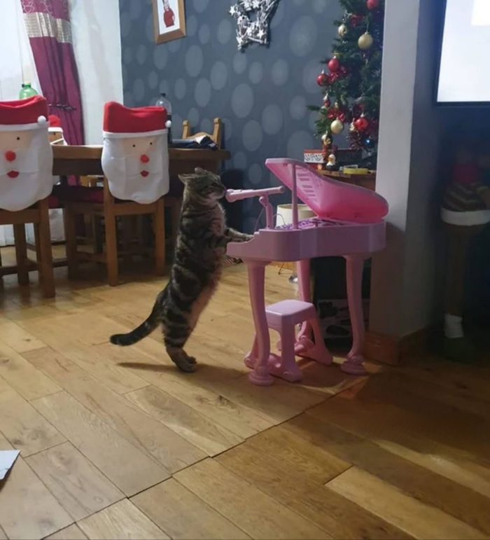 – А следующая композиция называется «Где моя гребaная еда?»