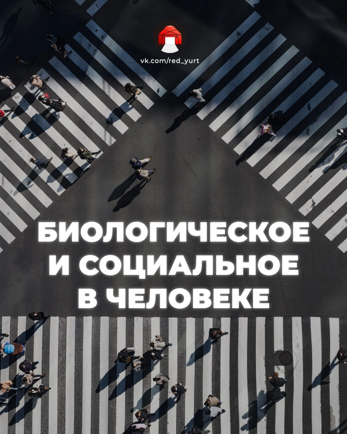      , , , , , , 