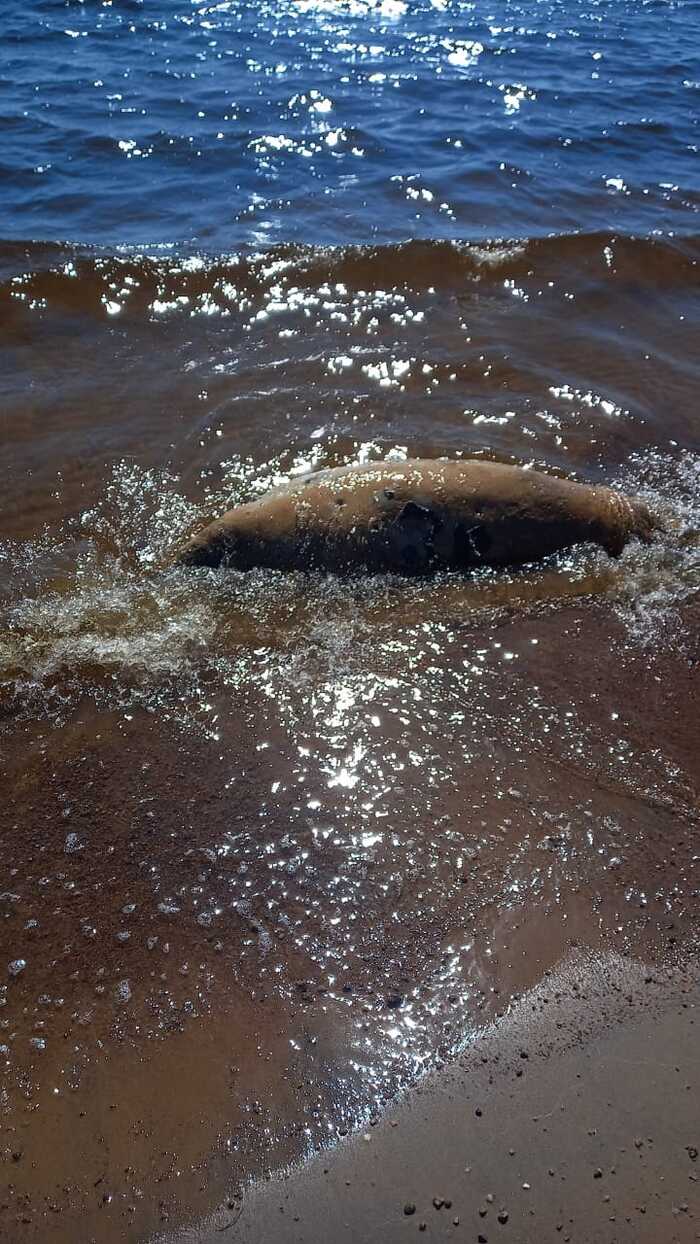 ������ � 112