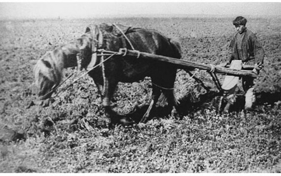 ���� ������? ������ �� ���. �������� � ������. � ���� ������