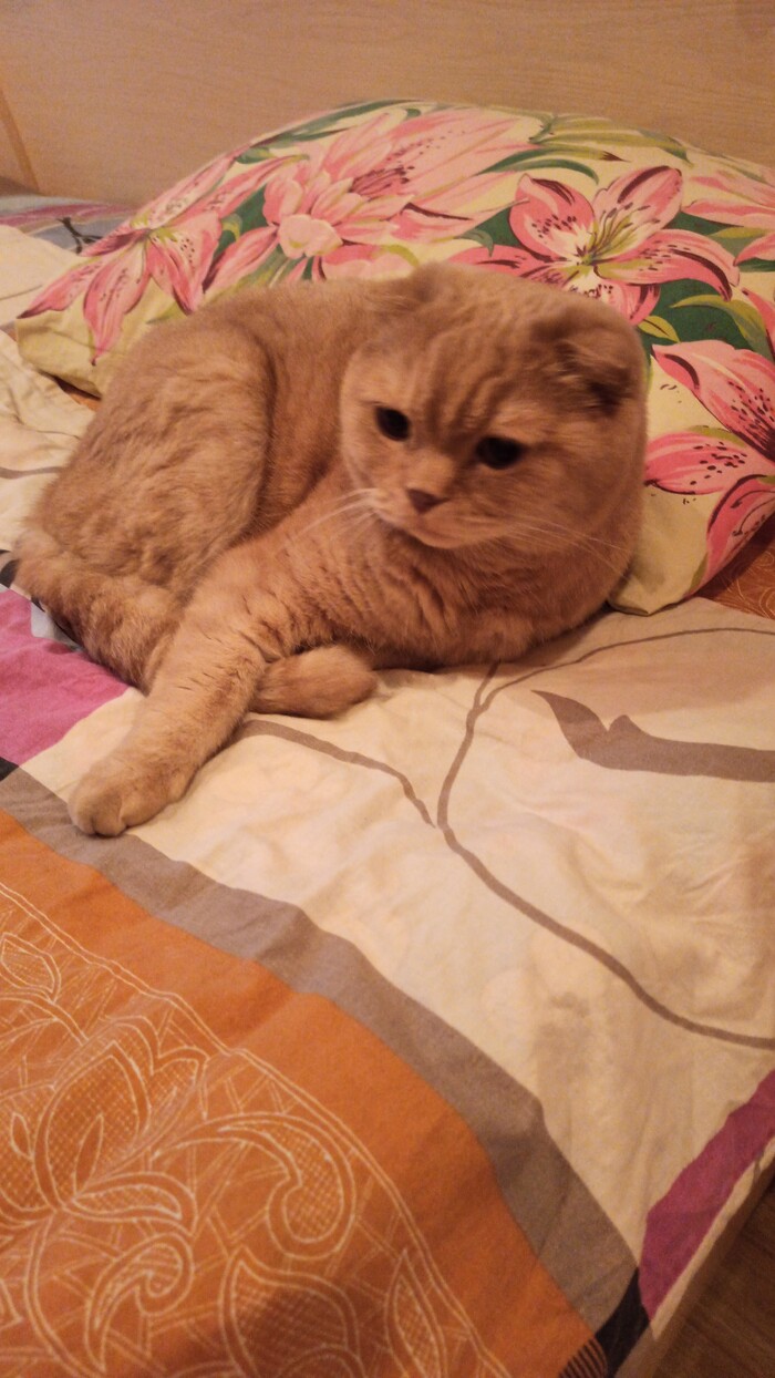 ��������� �����!