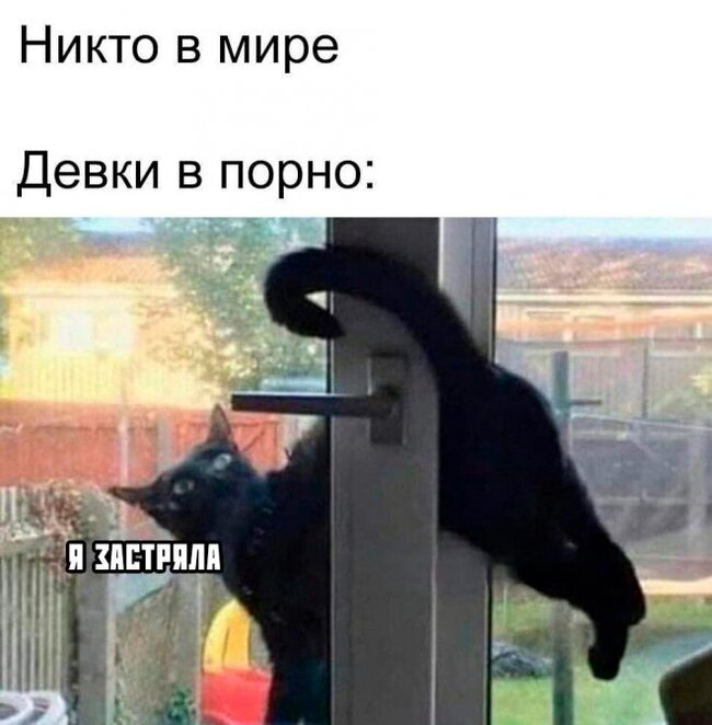  , ,   , 