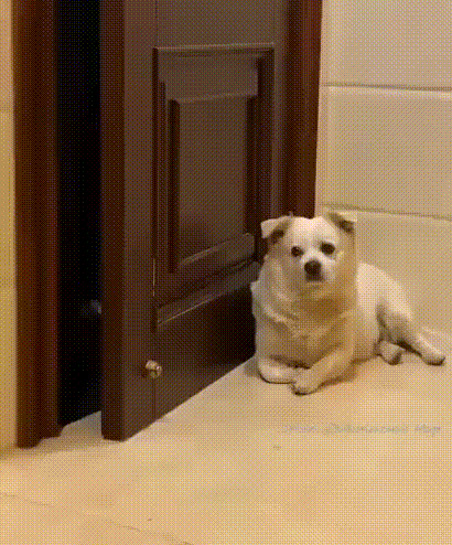 ,  