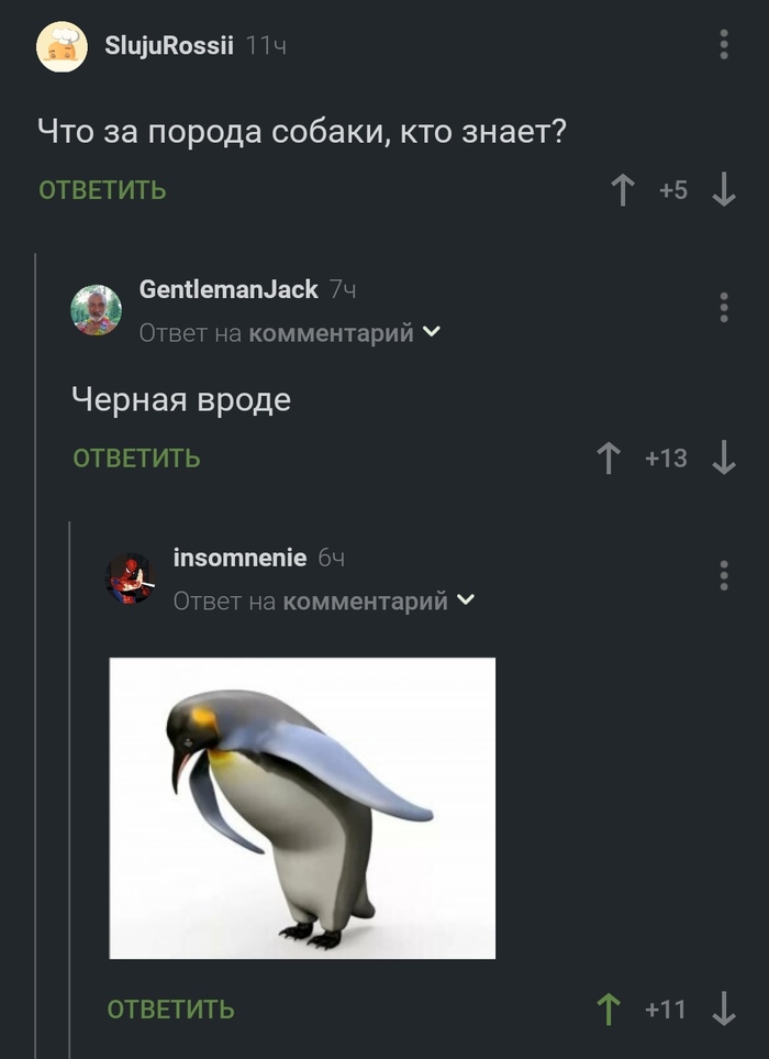 ������ �����