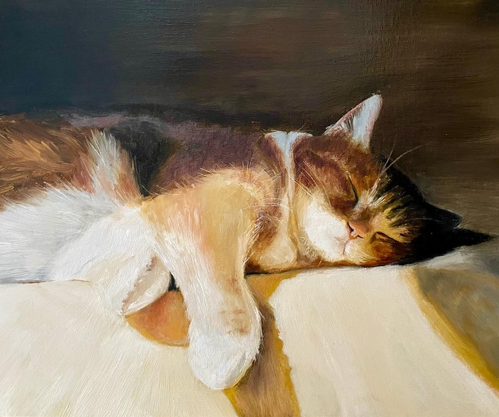 Ҹ���� ���