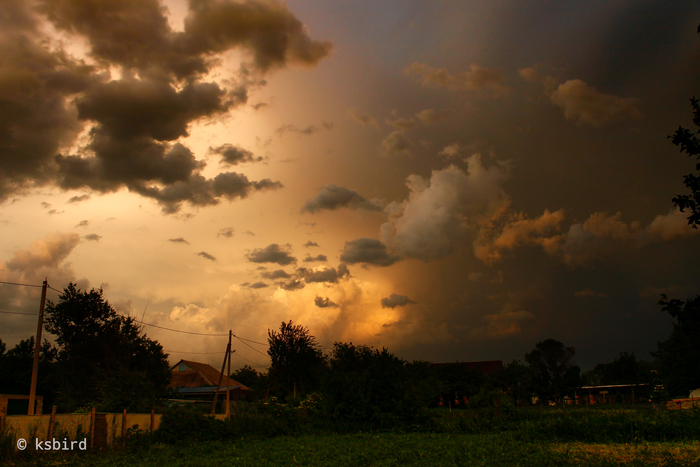 Перед грозой