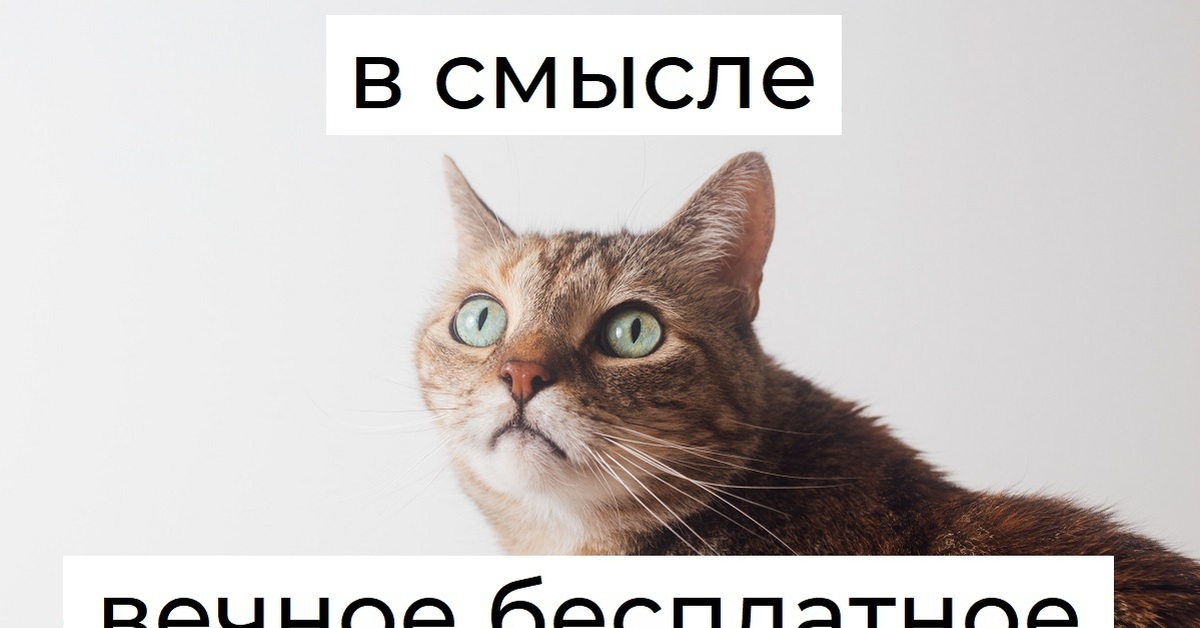 Не отличается от таковой. Не отличается от таковой