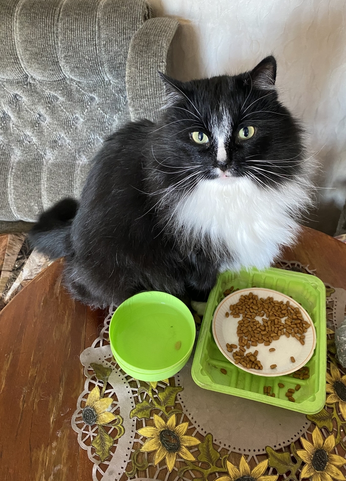 ��� ����