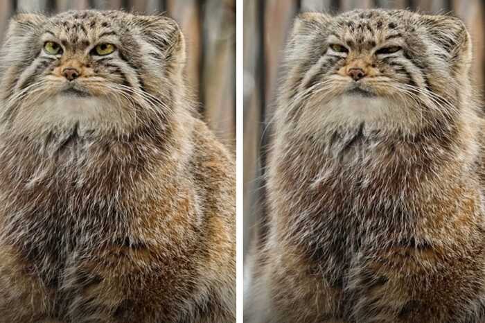 14868 ���������� �����