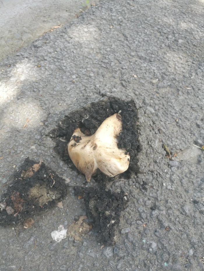  , ,  