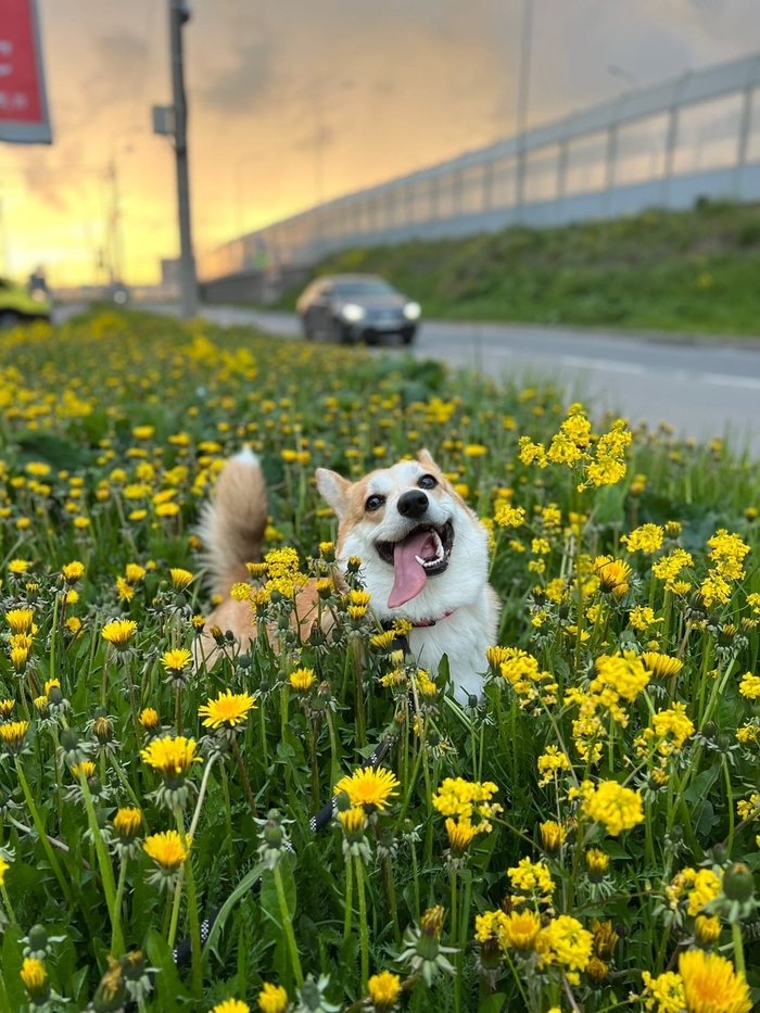   , , , 
