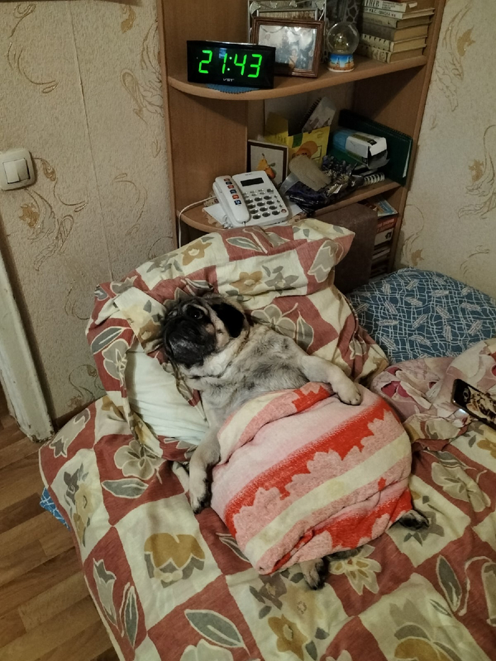 ��� ��������� ����� ���� �� ������?