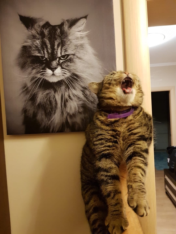 ���������� � ������������ ��������