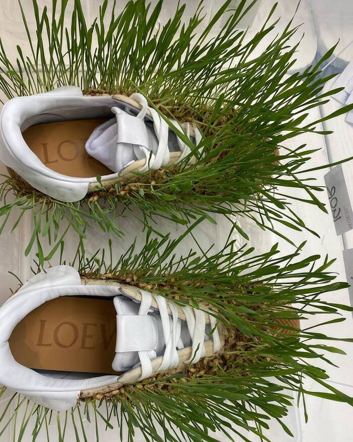         .  Loewe  2023    , 
