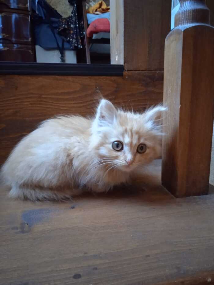 Муся и бутылка