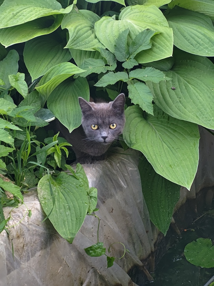 � ������