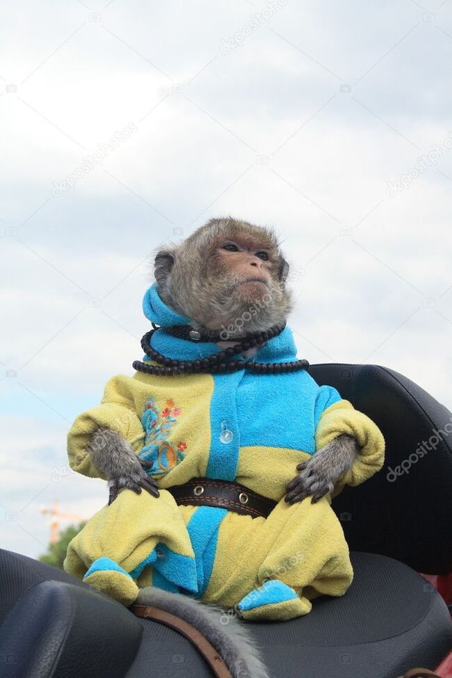 Старая курортная история